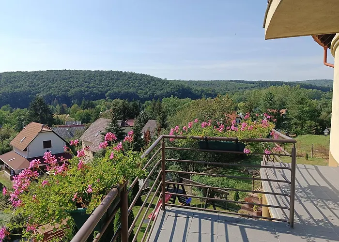 Koekeny Apartman Bogacs